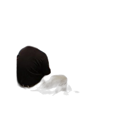 hat, hair, mask, food transparent PNG cut-out