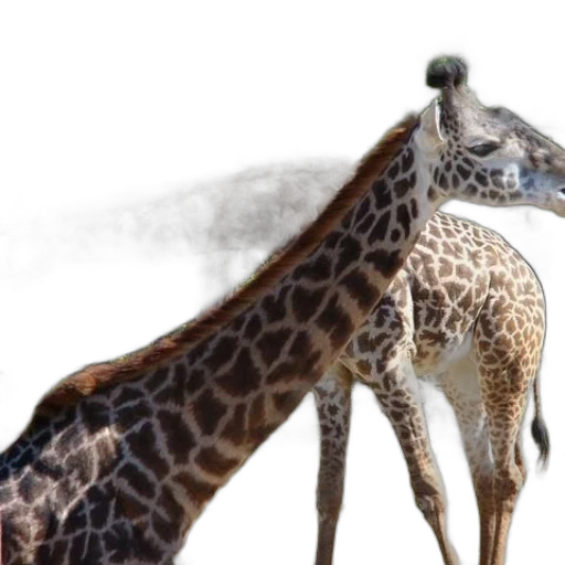 animal, creature, photorealistic, concept art transparent PNG cut-out