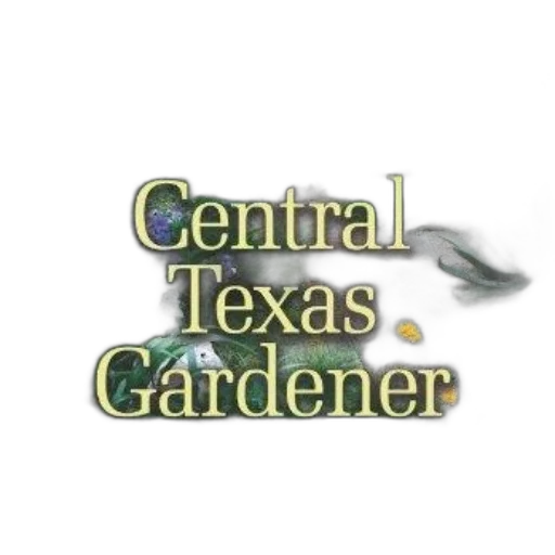 image, features, title, central transparent PNG cut-out