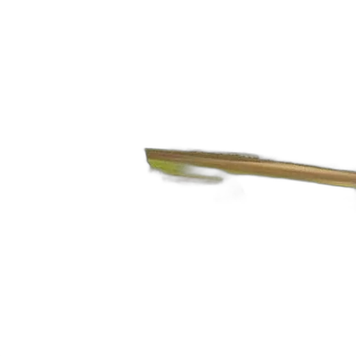 staff, weapon, sword, hair transparent PNG cut-out