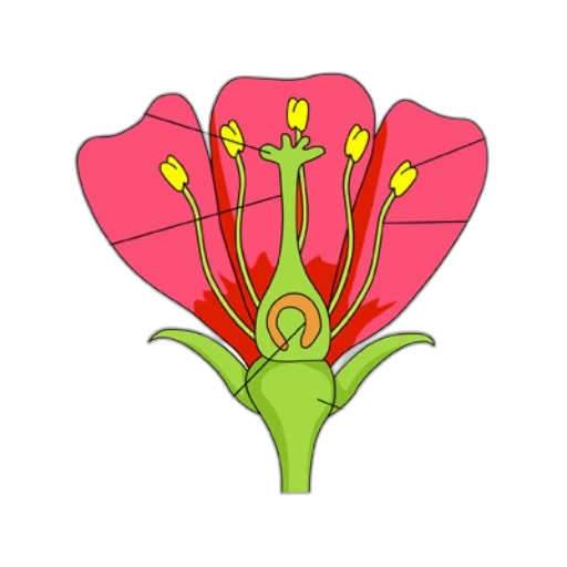 flower, crown, jewelry, staff transparent PNG cut-out