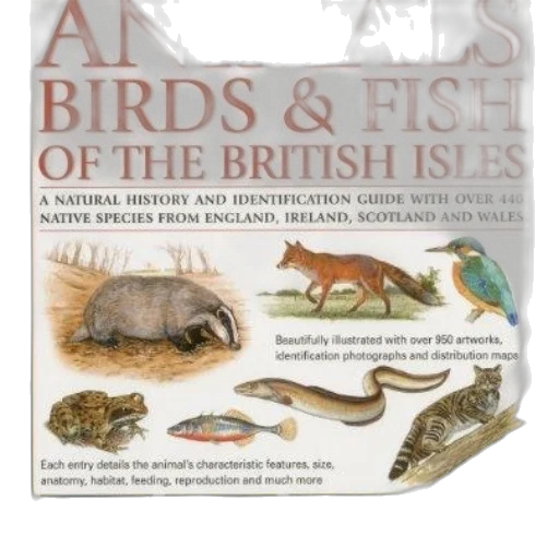animal, book, cover, featuring transparent PNG cut-out