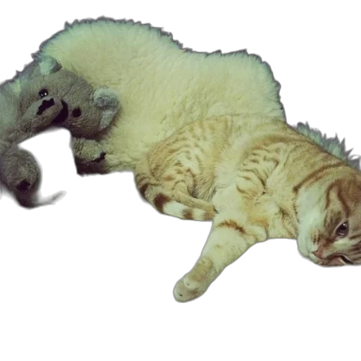 animal, creature, weapon, staff transparent PNG cut-out