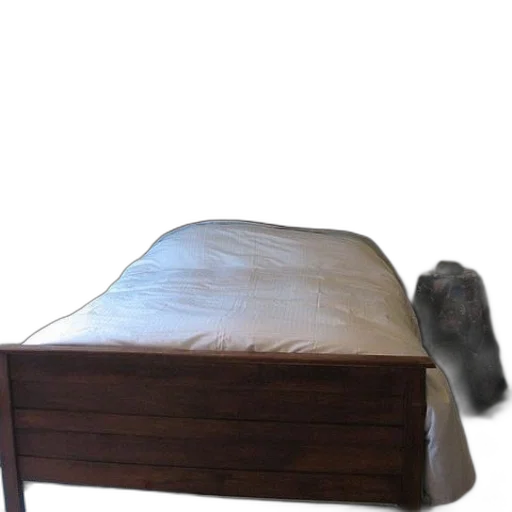 furniture, shoes, animal, creature transparent PNG cut-out