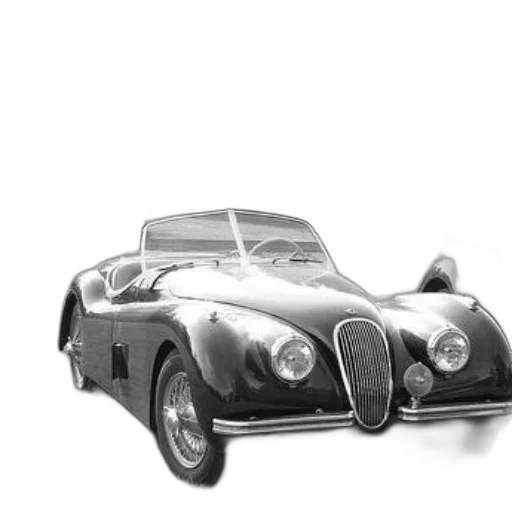 car, animal, photorealistic, 3d render transparent PNG cut-out