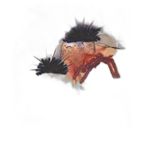 hair, creature, animal, dragon transparent PNG cut-out