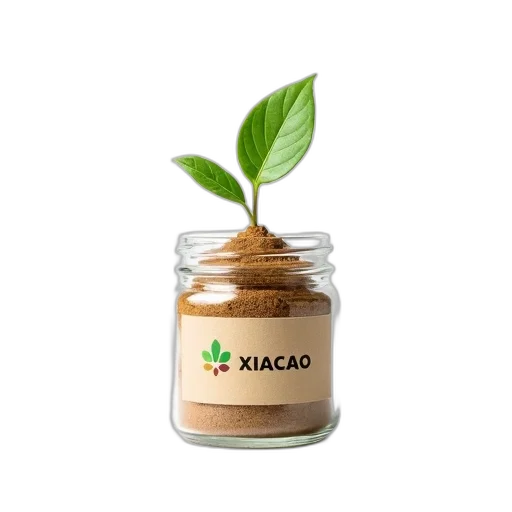 food, 3d render, small, plant transparent PNG cut-out