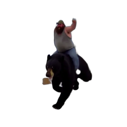 animal, creature, hat, mask transparent PNG cut-out