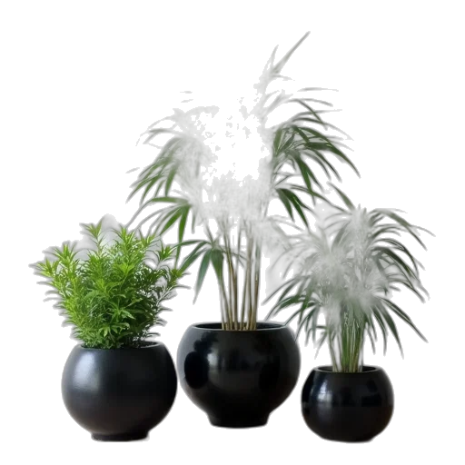 crown, 3d render, photorealistic, forest transparent PNG cut-out