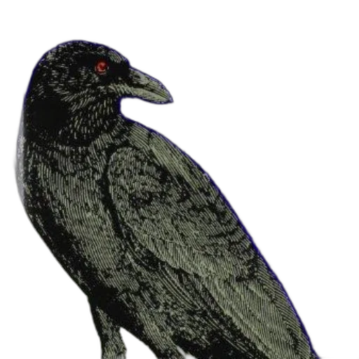 animal, staff, jewelry, creature transparent PNG cut-out