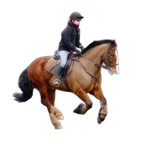 photorealistic, person, riding, brown transparent PNG cut-out