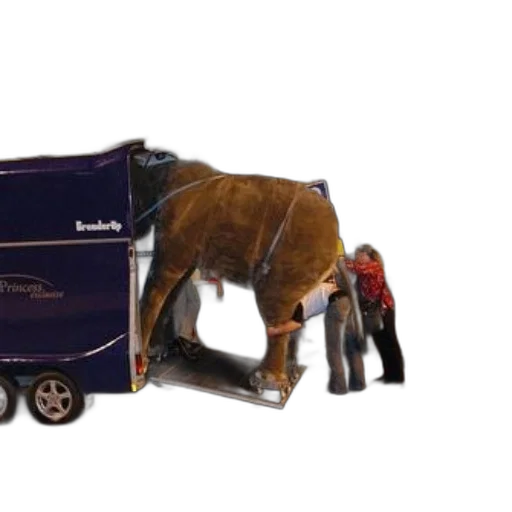 car, animal, furniture, 3d render transparent PNG cut-out