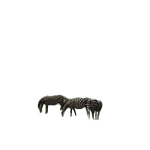 animal, hair, furniture, creature transparent PNG cut-out
