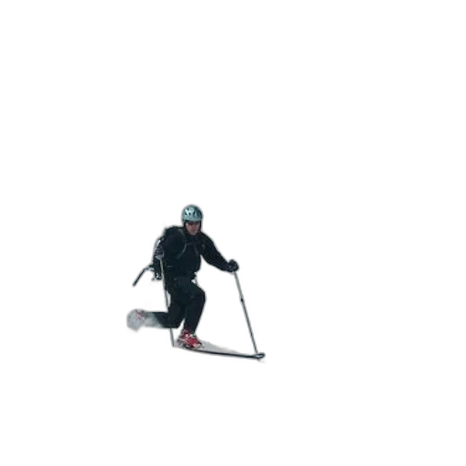 staff, robot, animal, creature transparent PNG cut-out