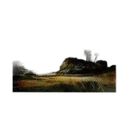 shoes, hair, car, dragon transparent PNG cut-out