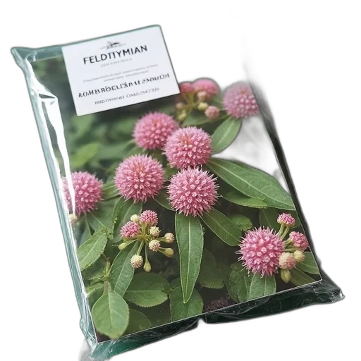 photorealistic, close-up, image, plant transparent PNG cut-out