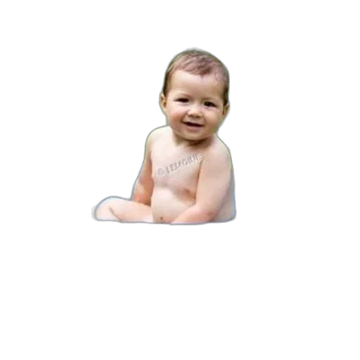 creature, face, hair, furniture transparent PNG cut-out