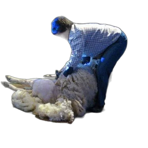 shoes, mask, animal, robot transparent PNG cut-out