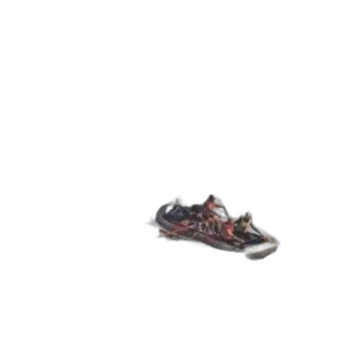 shoes, dragon, animal, weapon transparent PNG cut-out