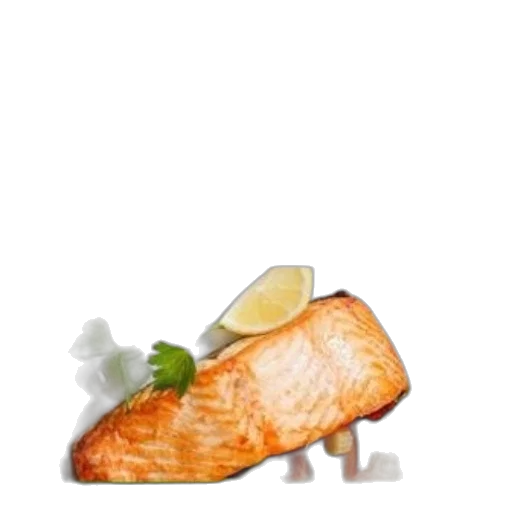 food, animal, hat, photorealistic transparent PNG cut-out