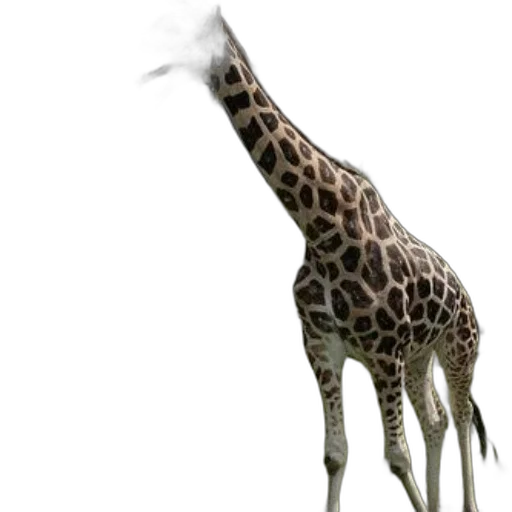 animal, creature, staff, hat transparent PNG cut-out