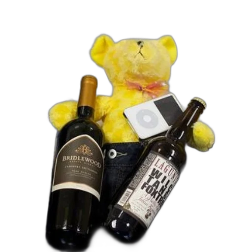 bottle, teddy, bear, sits transparent PNG cut-out