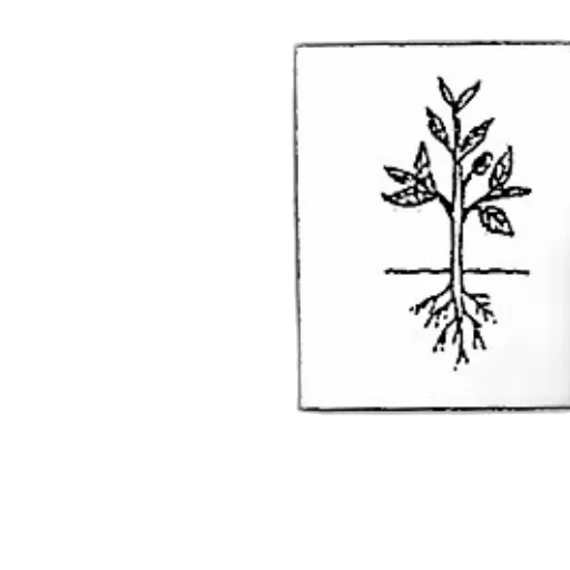 crown, tree, flower, staff transparent PNG cut-out