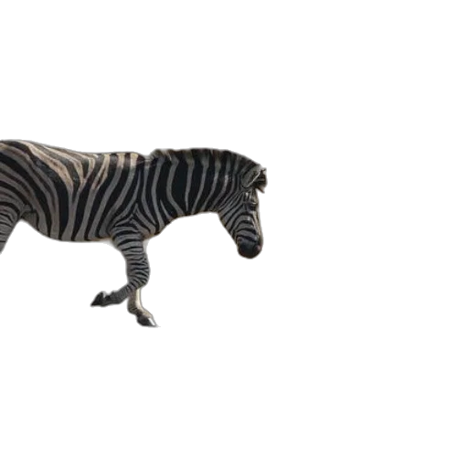 animal, creature, furniture, jewelry transparent PNG cut-out