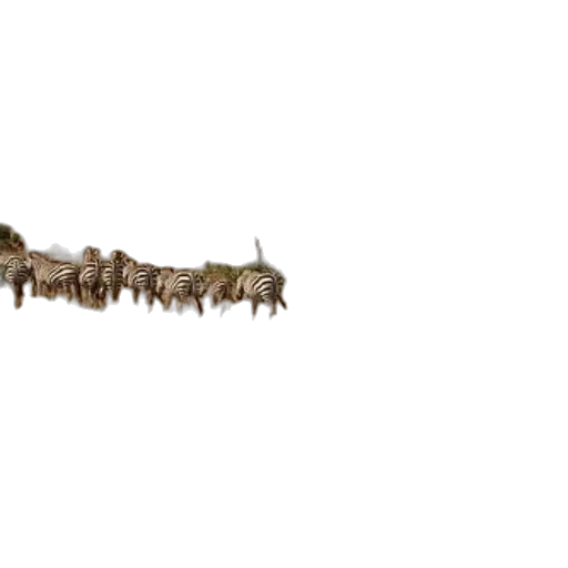 staff, weapon, animal, dragon transparent PNG cut-out