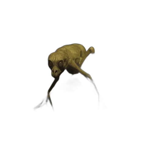 animal, creature, dragon, hat transparent PNG cut-out