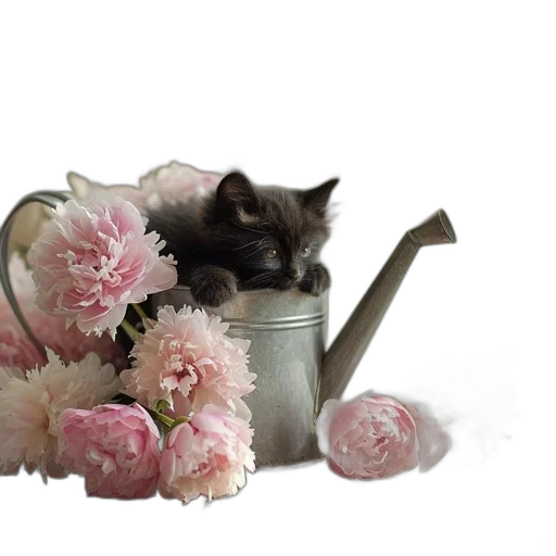 flower, animal, crown, staff transparent PNG cut-out