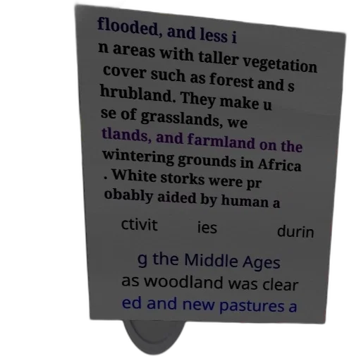 tree, text-heavy, image, discusses transparent PNG cut-out