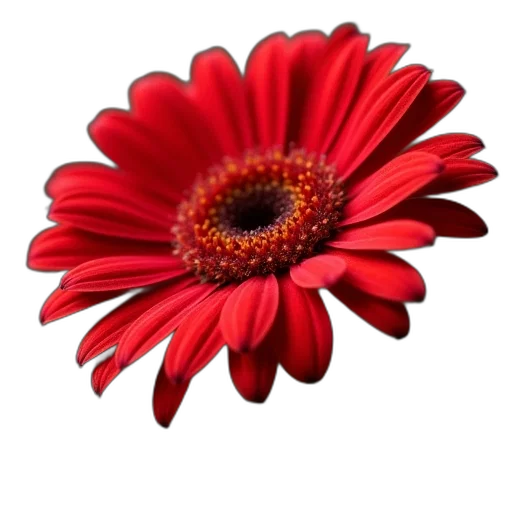 flower, crown, jewelry, staff transparent PNG cut-out