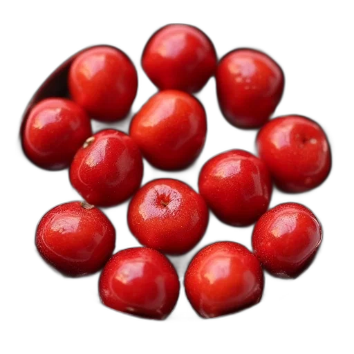 food, crown, jewelry, animal transparent PNG cut-out