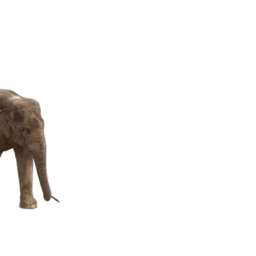 animal, creature, staff, weapon transparent PNG cut-out