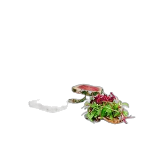 food, crown, dragon, animal transparent PNG cut-out