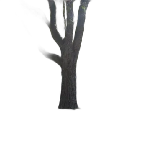 tree, crown, staff, furniture transparent PNG cut-out