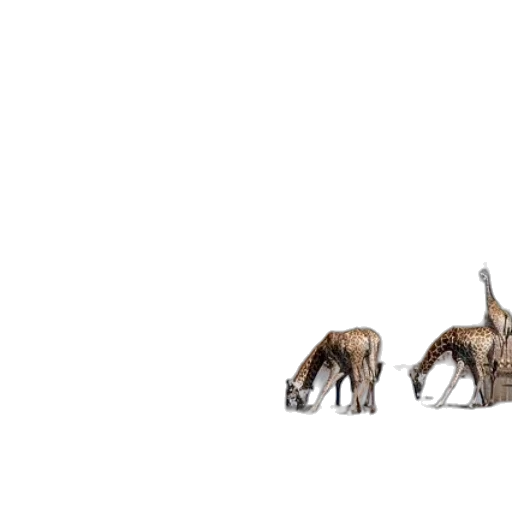 animal, furniture, creature, hair transparent PNG cut-out