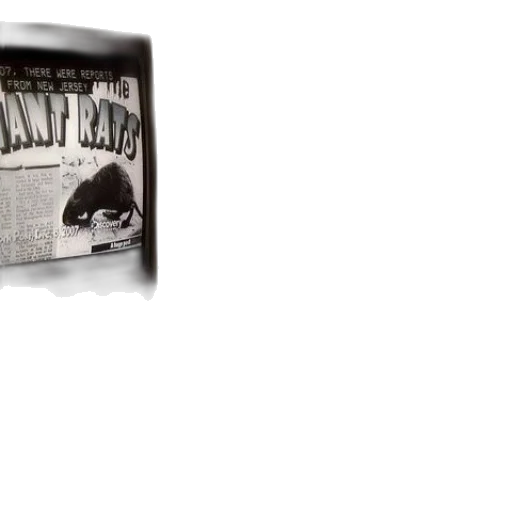 cat, watching, television, show transparent PNG cut-out