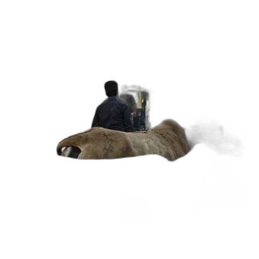animal, shoes, furniture, robot transparent PNG cut-out
