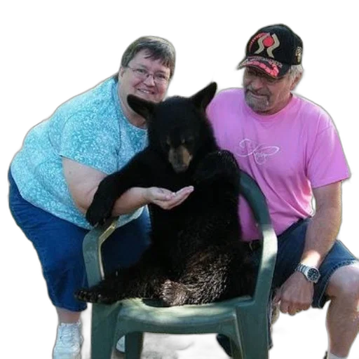 animal, staff, creature, furniture transparent PNG cut-out