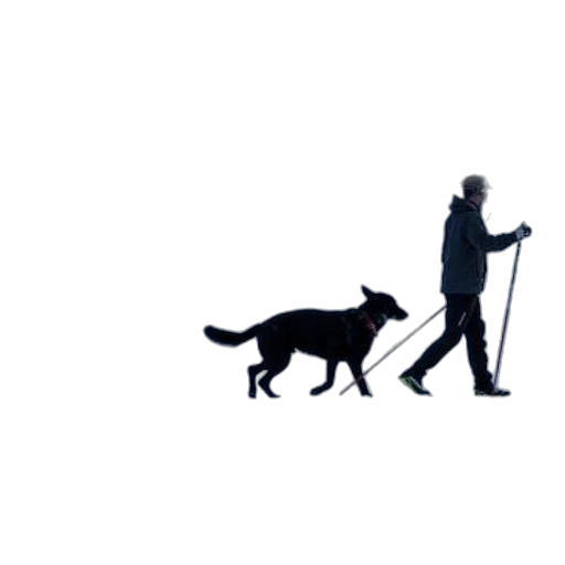 staff, animal, umbrella, creature transparent PNG cut-out