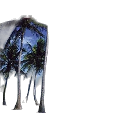 jacket, poster, titled, florida transparent PNG cut-out