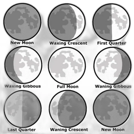 monochrome, dark, earth tones, diagram transparent PNG cut-out