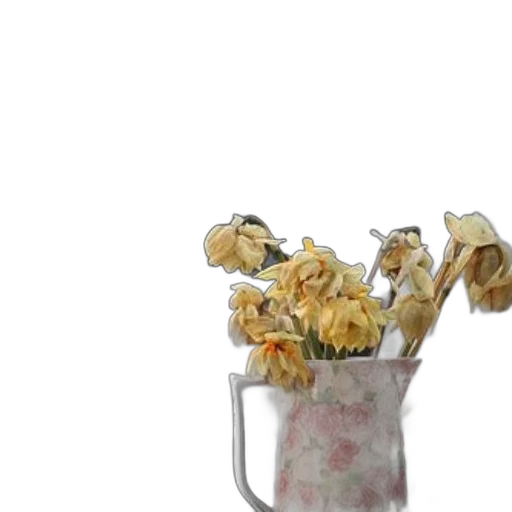 furniture, food, crown, flower transparent PNG cut-out