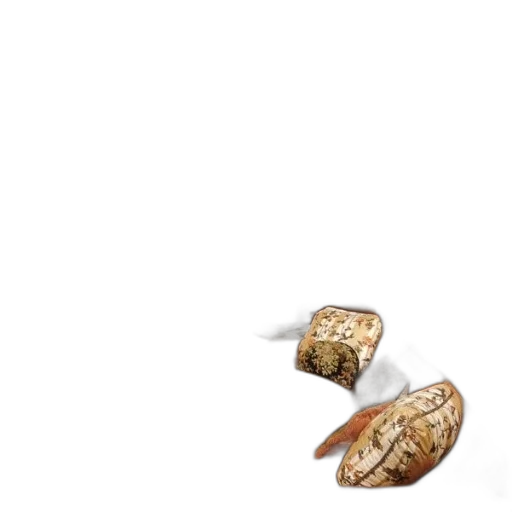 food, jewelry, shoes, animal transparent PNG cut-out
