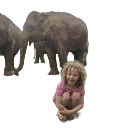 animal, creature, photorealistic, 3d render transparent PNG cut-out
