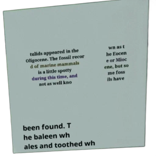 furniture, crown, text-based, image transparent PNG cut-out