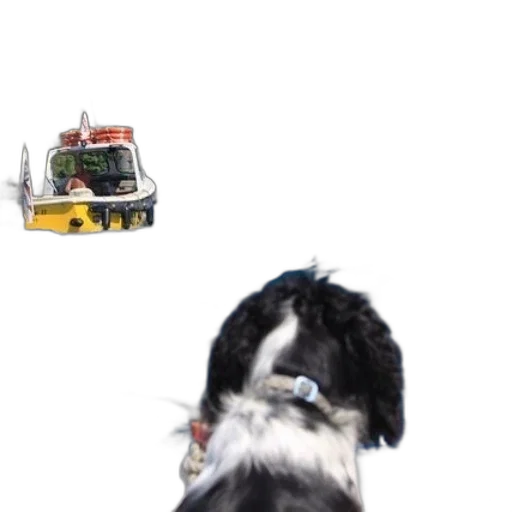 robot, car, staff, animal transparent PNG cut-out