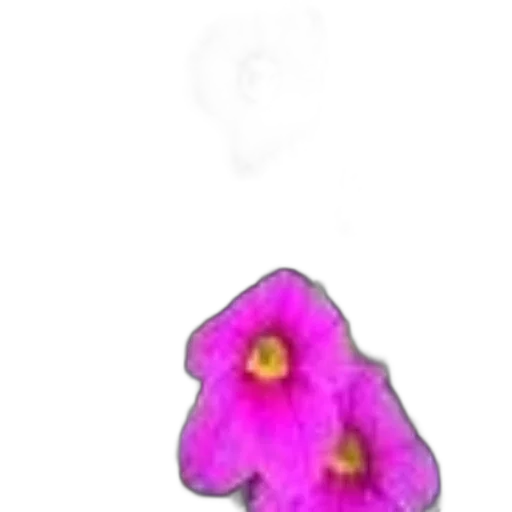 flower, jewelry, crown, staff transparent PNG cut-out